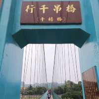 嘉義竹崎親水公園 天空走廊 行千吊橋（千禧橋）花棋木盛開美不勝收