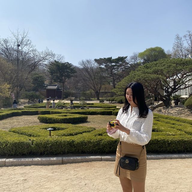 봄에는 창경궁💗 홍매화 보러 오세요🌸