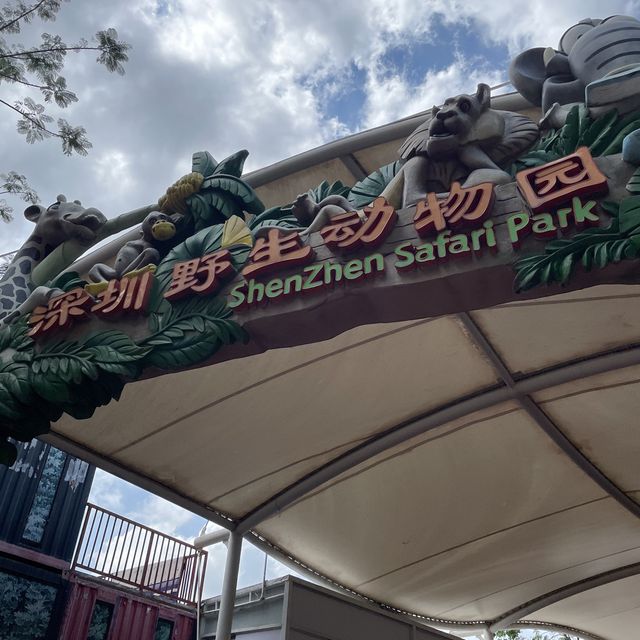 深圳野生動物園👍🏻餵長頸鹿🦒初體驗😌福田30分鐘距離
