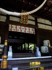 京都でおすすめ！縁結びのうさぎの神社