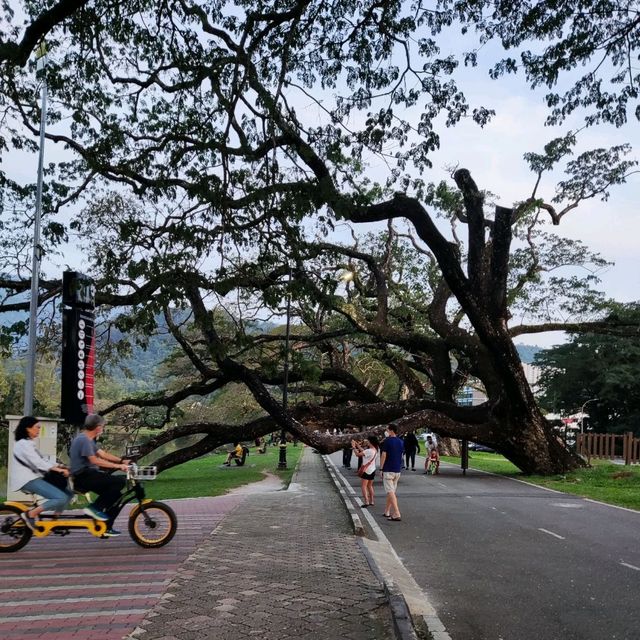 A Perfect Recreation Park in Taiping 