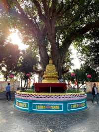 Tran Quoc Pagoda - VN No.1 beautiful Pagoda 