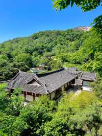 서울 도심 속 폭포소리 들으며 힐링할 수 있는 도서관🌿