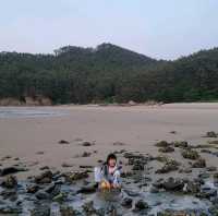고즈넉한 여유로움을 즐길 수 있는 태안 구름포 해수욕장🏖