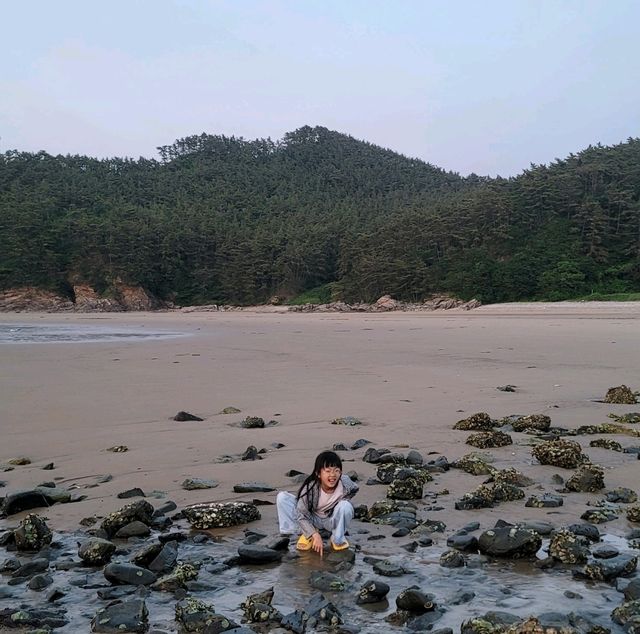 고즈넉한 여유로움을 즐길 수 있는 태안 구름포 해수욕장🏖