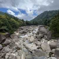 【鹿児島・屋久島】世界遺産の縄文杉に✨