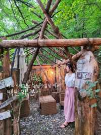 동남아감성 한가득! 다시가고싶은 백번의봄🏝