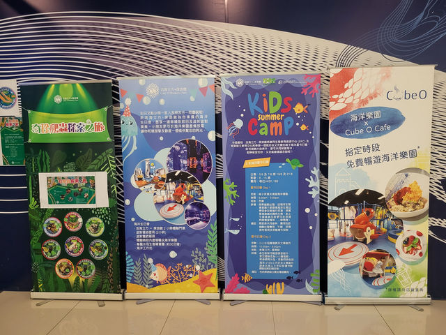與水母共進夢幻晚餐