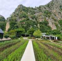 Family Trip ที่หุบป่าตาด Bike Camp