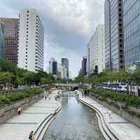 An Green oasis in the heart of Seoul