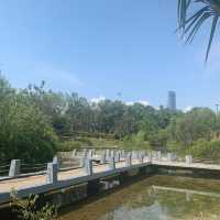 深圳綠化景點—深圳灣公園