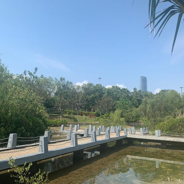 深圳綠化景點—深圳灣公園