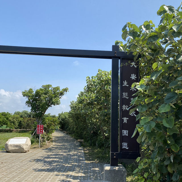 大安水蓑衣生態教育園區🦆