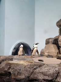 Monterey Bay Aquarium 