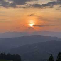 🌾🌄 洋嶺梯田～稻穗風光🏔️🌾🥾