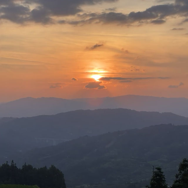 🌾🌄 洋嶺梯田～稻穗風光🏔️🌾🥾