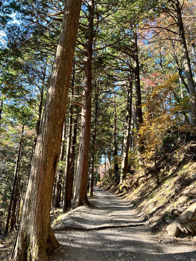 【秩父】関東屈指のパワースポット❗️三峯神社✨