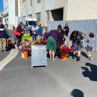 Dunedin Farmers Market 