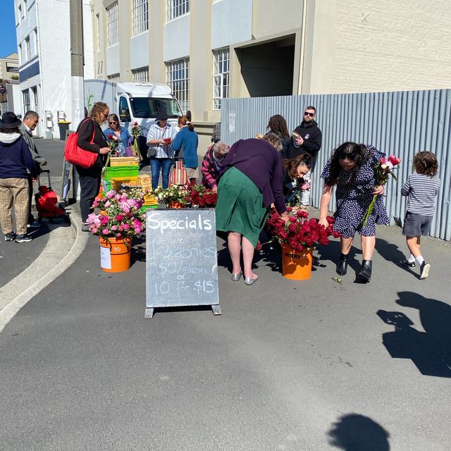 Dunedin Farmers Market 