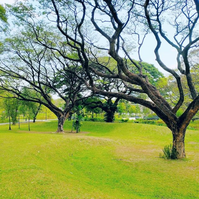 ขับรถไปสวนเบญจกิติ