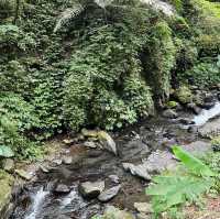 宜蘭 林美石磐步道