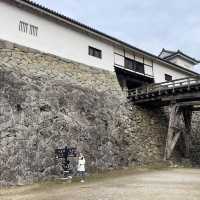 彥根城
