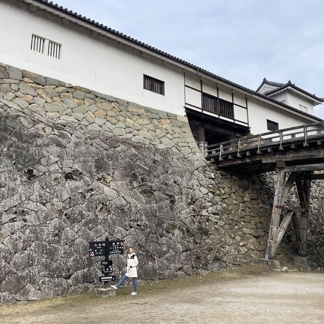 彥根城