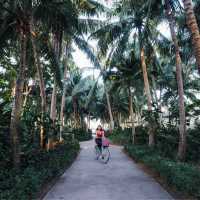 Sheraton Hua Hin Pranburi Villas 