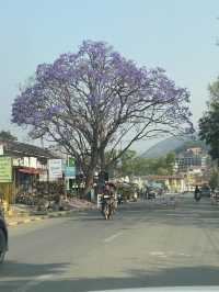 Kalaw (Highland in Myanmar) 