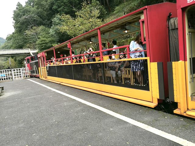 สวนป่าไผ่ &สะพานแม่น้ำสุขใจ @ARASHIYAMA