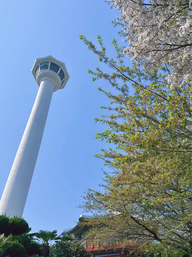 《釜山》俯瞰整個釜山海港美景的地標-釜山塔