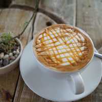 Repeat Café