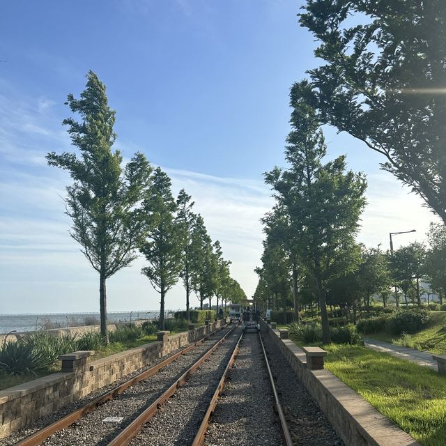 영종도에서 낭만을! 영종도씨사이드 레일바이크🚲