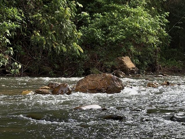 • ภูบรรทัด วัลเล่ย์ รีสอร์ท สตูล 🏕️🌿