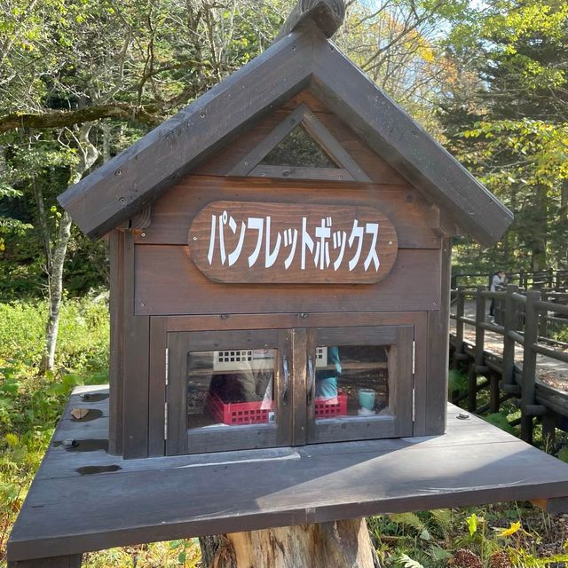 【北海道】摩周湖から生まれた神秘の湖「神の子池」