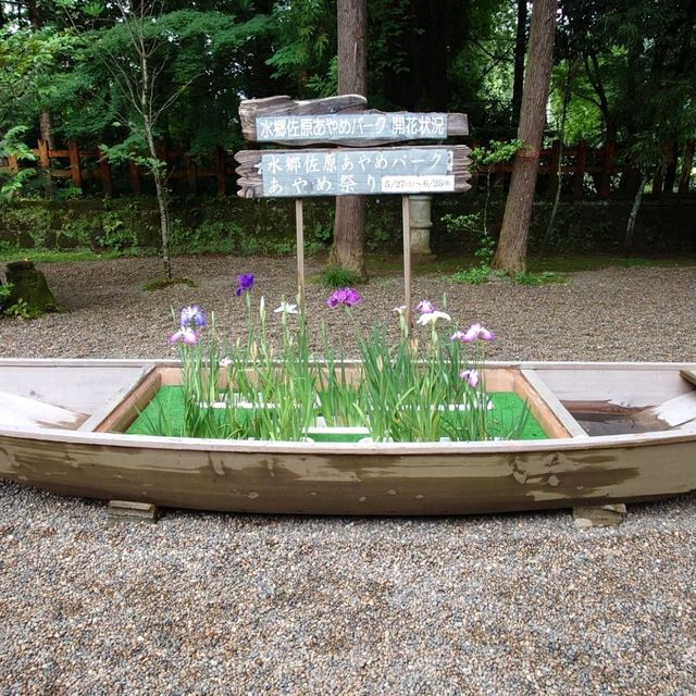 香取神宮