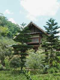 Mori Natural Farm โมริ เนเชอรัลฟาร์ม เชียงใหม่🌳☁️