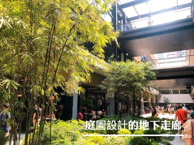 🌸中環街市🏣保育活化一日遊🌸
