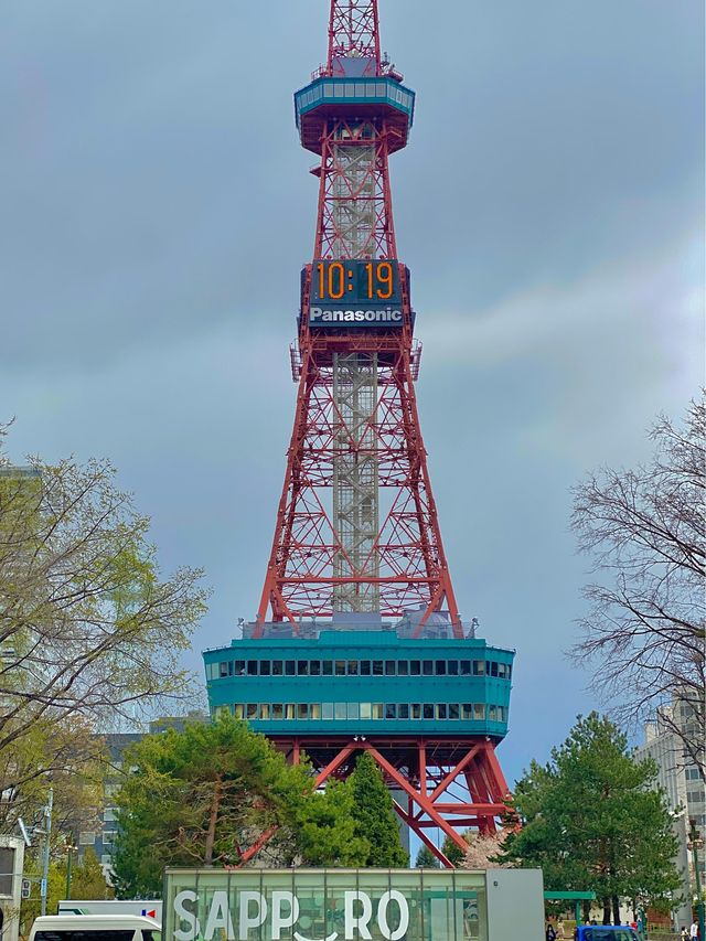 일본 삿포로 오도리공원과 TV타워 함께 방문하기 좋은 관광명소