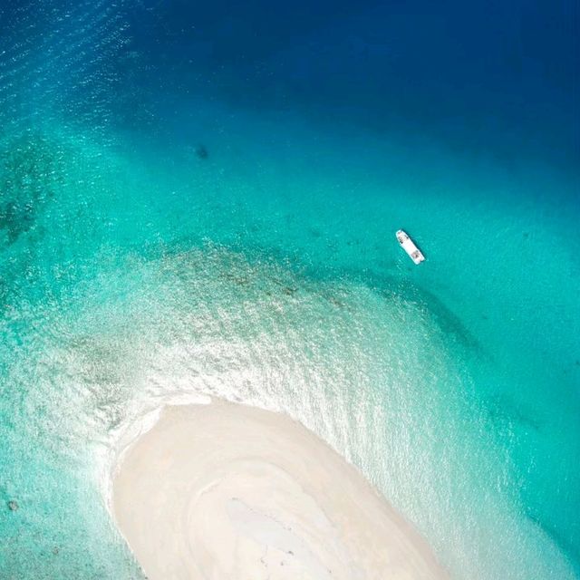 【沖縄 座間味島】ケラマブルーの海でシュノーケリング🌊🌺