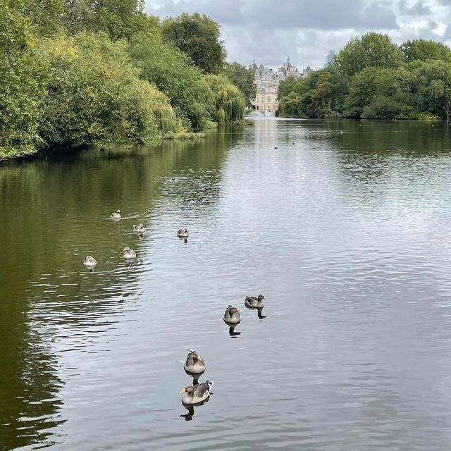The 2 public Parks shouldn’t miss in London