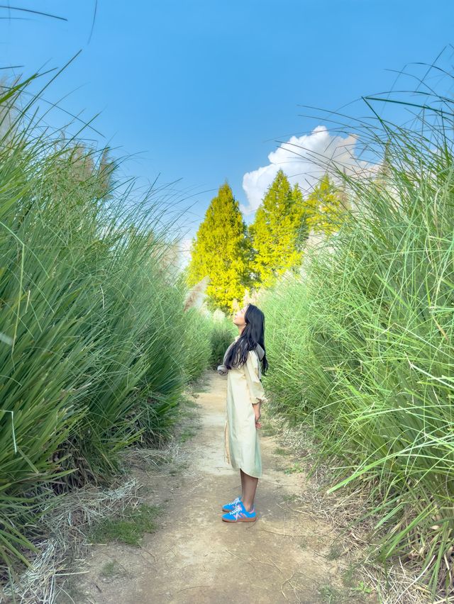 이번 주말 달려가야할 청산 수목원🌲