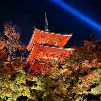 Autumn Night Illumination of the Kiyomizu-dera