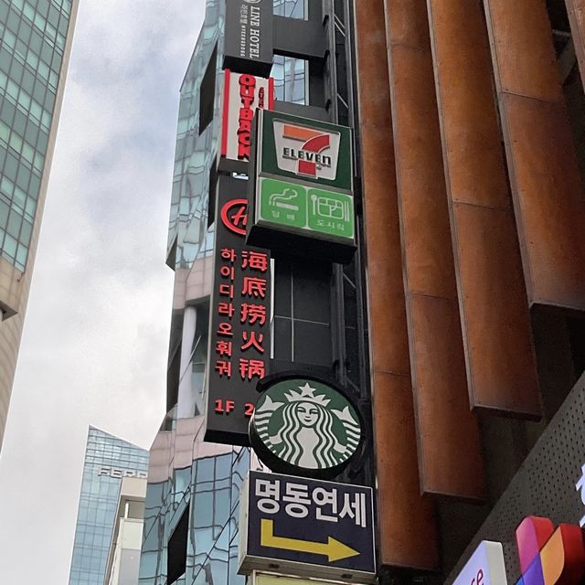 찐 중국식 훠궈가 먹고싶다면! “하오디라오”로 오세용