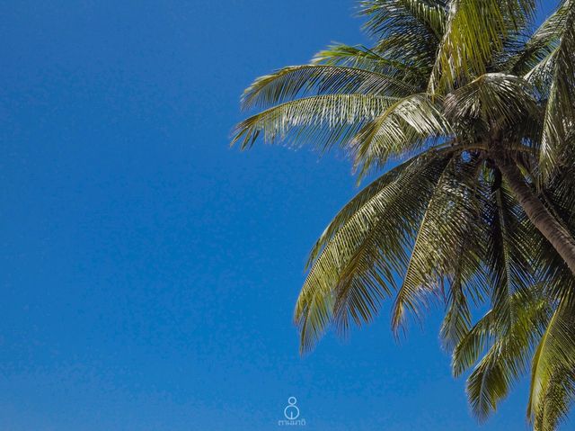 หาดสุรินทร์ ชายหาดสวยๆ ภูเก็ต 🌴🌊