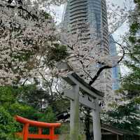Hilltop Shrine in Tokyo- Atago Jinja Shrine