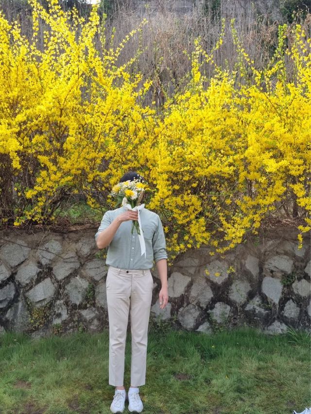 봄꽃놀이는 용산가족공원에서💫💛🌸