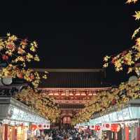 【東京】夜遅くの浅草寺さんぼ