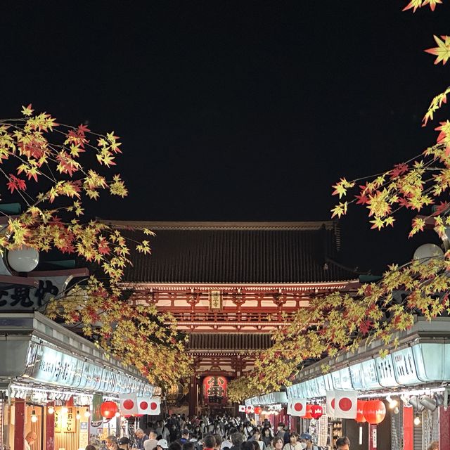 【東京】夜遅くの浅草寺さんぼ