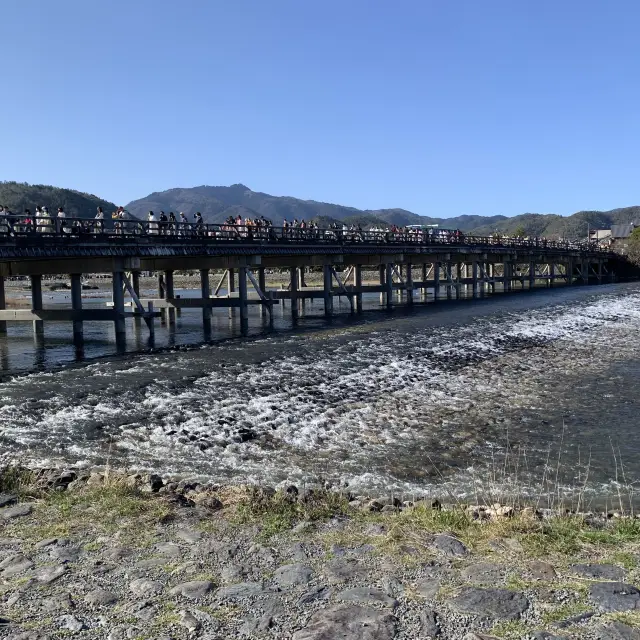 京都嵐山渡月橋～櫻花🌸季節